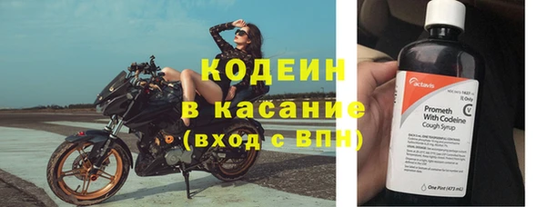 эйфоретик Алзамай