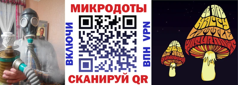 Купить  Богородск  Галлюциногенные грибы Psilocybe 